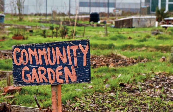 Katılımcı Kentli Kimliğinin Oluşumunda  Kamusal Ve Özel Açık Yeşil Alanların Rolü; Kent Bahçeleri